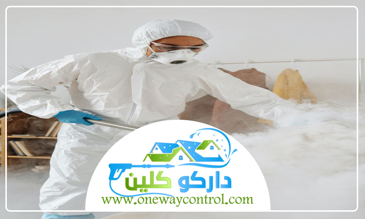 شركة مكافحة صراصير بالجموم 5 شركة مكافحة صراصير بالجموم