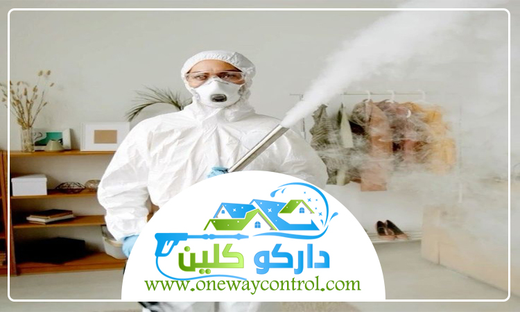شركة مكافحة صراصير بالجموم 4 شركة مكافحة صراصير بالجموم