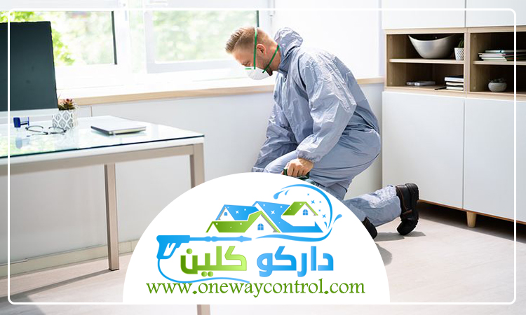 شركة مكافحة الصراصير بالمدينة المنورة 5 شركة مكافحة الصراصير بالمدينة المنورة