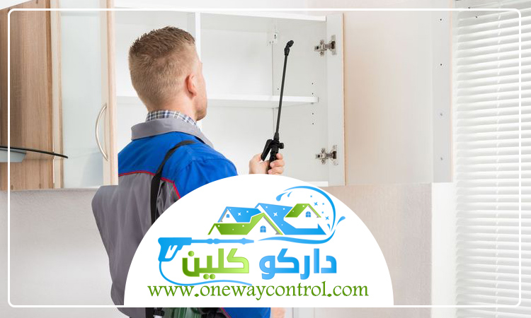 شركة مكافحة الناموس بجدة