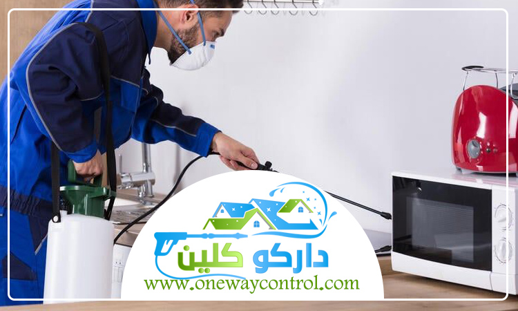 شركة مكافحة الناموس بالمدينة المنورة 4 شركة مكافحة الناموس بالمدينة المنورة