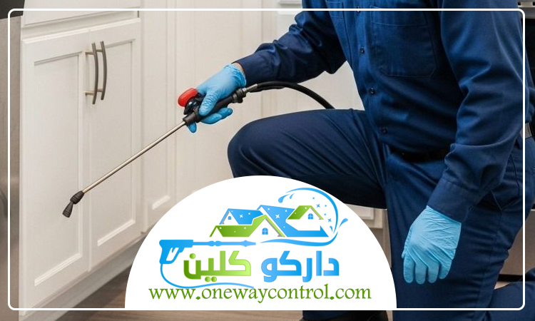 شركة مكافحة البعوض بمكة 5 شركة مكافحة البعوض بمكة