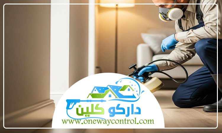 شركة مكافحة الارضة بالطائف 3 شركة مكافحة الارضة بالطائف