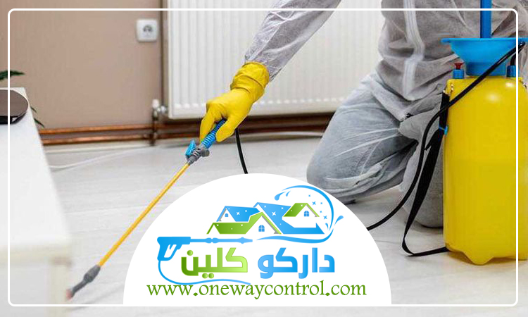 شركة مكافحة السوس بجدة 4 شركة مكافحة السوس بجدة