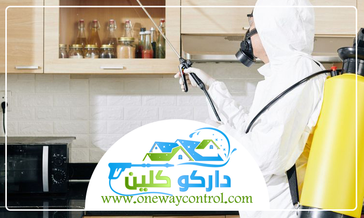 شركة مكافحة البعوض بمكة 4 شركة مكافحة البعوض بمكة