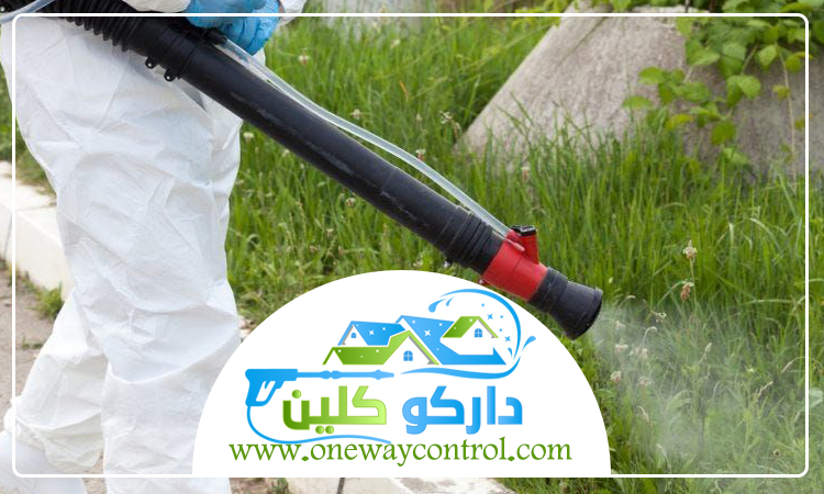 شركة مكافحة النحل بالمدينة المنورة 4 شركة مكافحة النحل بالمدينة المنورة