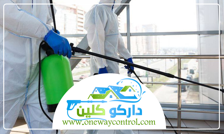 شركة مكافحة بق الفراش بجدة 5 شركة مكافحة بق الفراش بجدة