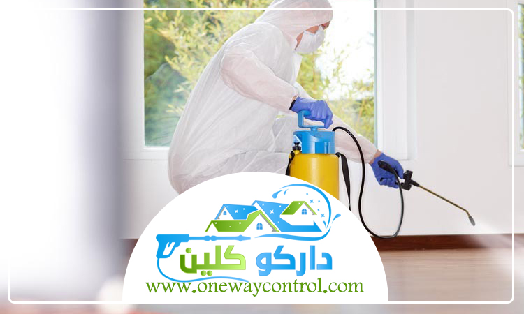 شركة مكافحة السوس بالمدينة المنورة 4 شركة مكافحة السوس بالمدينة المنورة