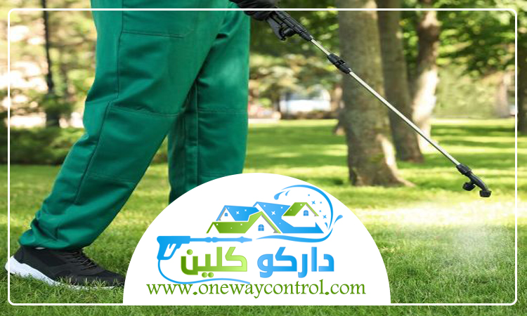 شركة مكافحة النحل بالمدينة المنورة 3 شركة مكافحة النحل بالمدينة المنورة