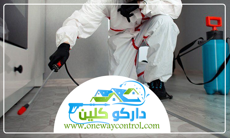 شركة مكافحة السوس بجدة 5 شركة مكافحة السوس بجدة