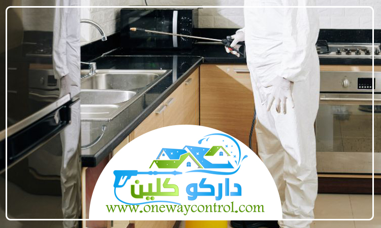 شركة مكافحة حشرات بمكة 4 شركة مكافحة حشرات بمكة