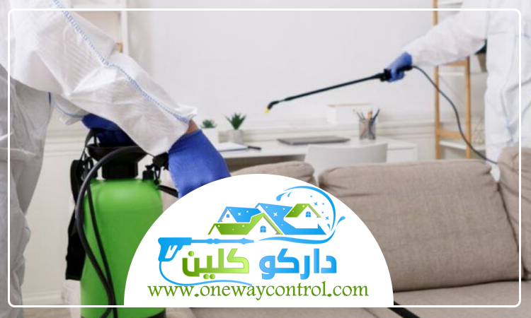 شركة مكافحة بق الفراش بمكة 5 شركة مكافحة بق الفراش بمكة