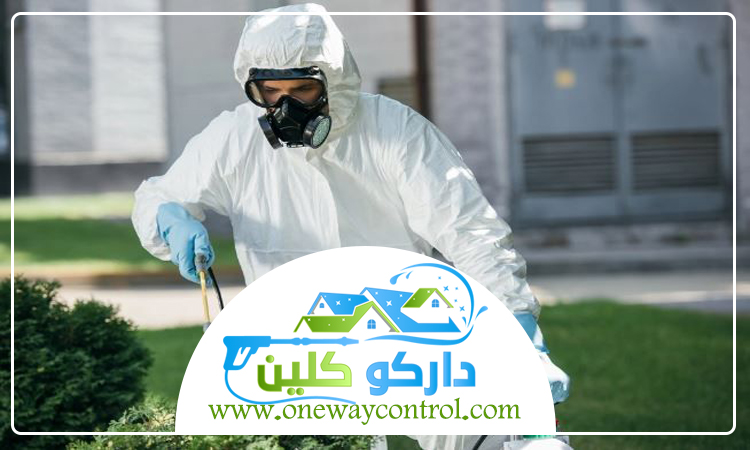 شركة مكافحة حشرات بمكة 5 شركة مكافحة حشرات بمكة