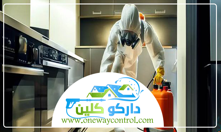 شركة مكافحة حشرات بالليث 5 شركة مكافحة حشرات بالليث