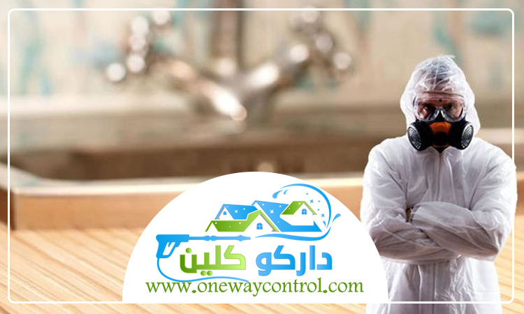 شركة مكافحة حشرات بالليث 4 شركة مكافحة حشرات بالليث