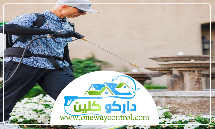 شركة مكافحة حشرات بالجموم 21 شركة مكافحة حشرات بالقنفذه