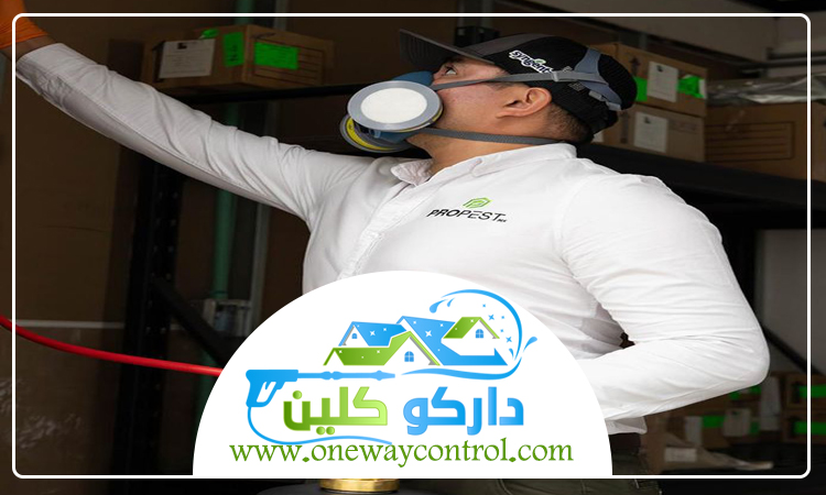 شركة مكافحة حشرات بخليص 5 شركة مكافحة حشرات بخليص