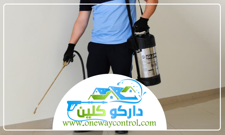 شركة مكافحة حشرات بخليص 3 شركة مكافحة حشرات بخليص