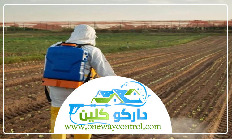 شركة مكافحة حشرات بخليص 17 شركة مكافحة حشرات بالقنفذه