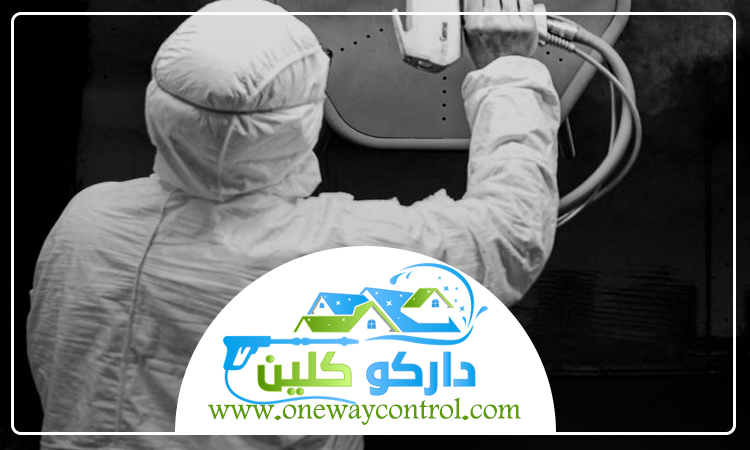 شركة مكافحة حشرات بالقنفذه 4 شركة مكافحة حشرات بالقنفذه