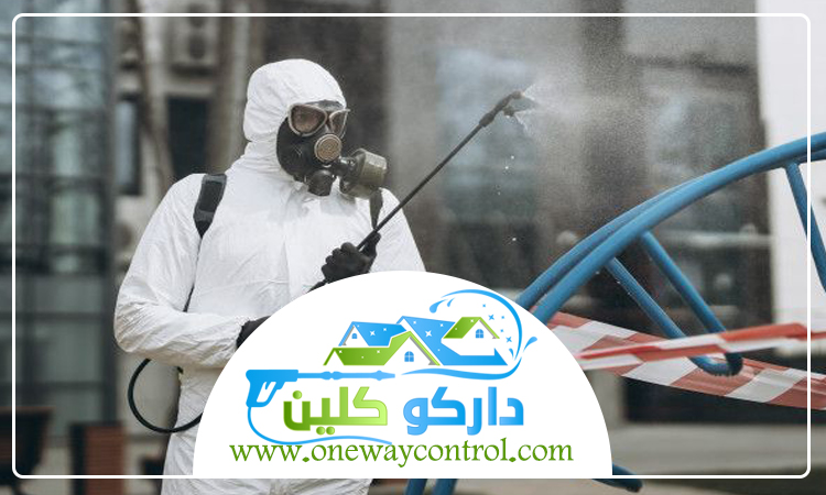 شركة مكافحة حشرات بالقنفذه 3 شركة مكافحة حشرات بالقنفذه