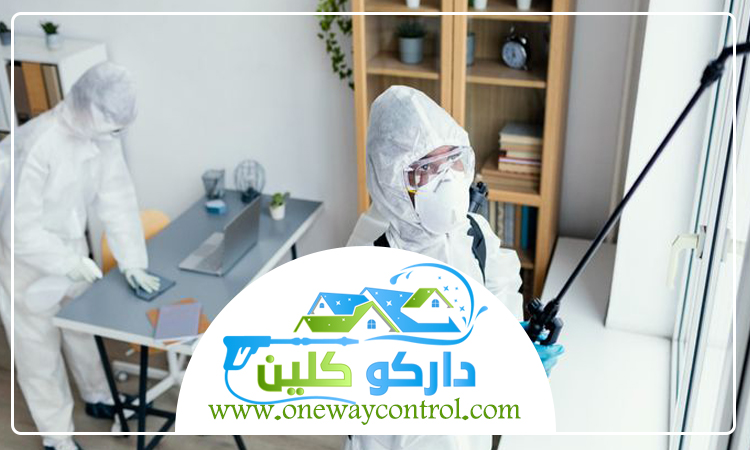 شركة مكافحة حشرات بالقنفذه 9 شركة مكافحة حشرات بالقنفذه