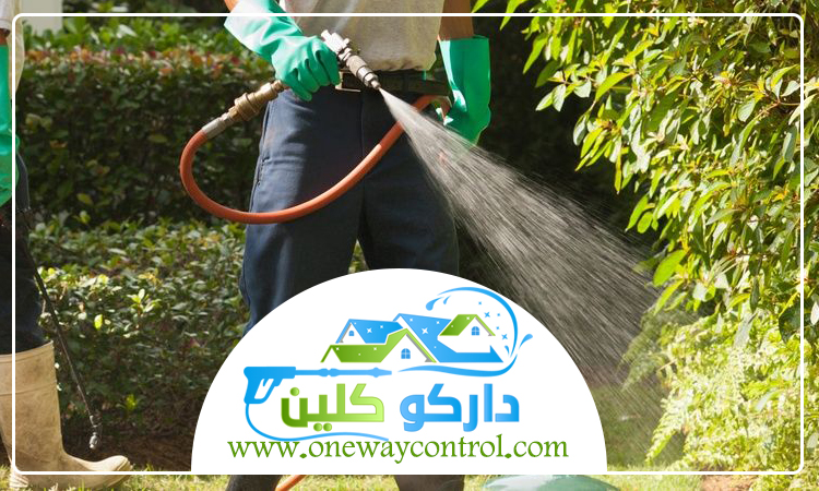 شركة مكافحة النمل الابيض بالجموم 5 شركة مكافحة النمل الابيض بالجموم