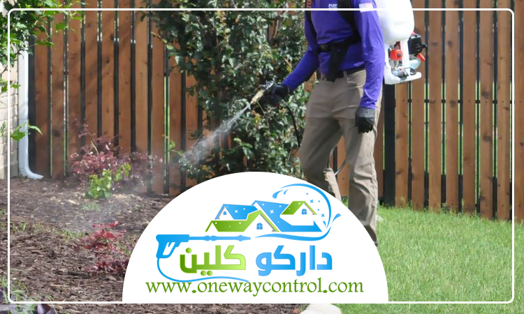 شركة مكافحة النمل الابيض بالجموم 4 شركة مكافحة النمل الابيض بالجموم