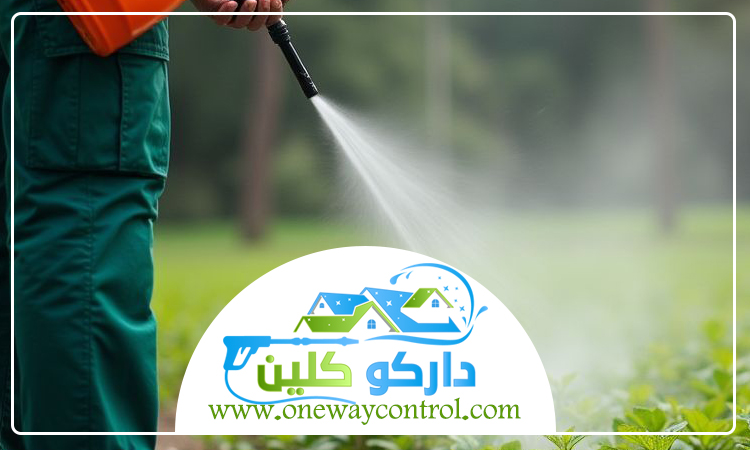 شركة مكافحة النمل الابيض بالجموم 3 شركة مكافحة النمل الابيض بالجموم