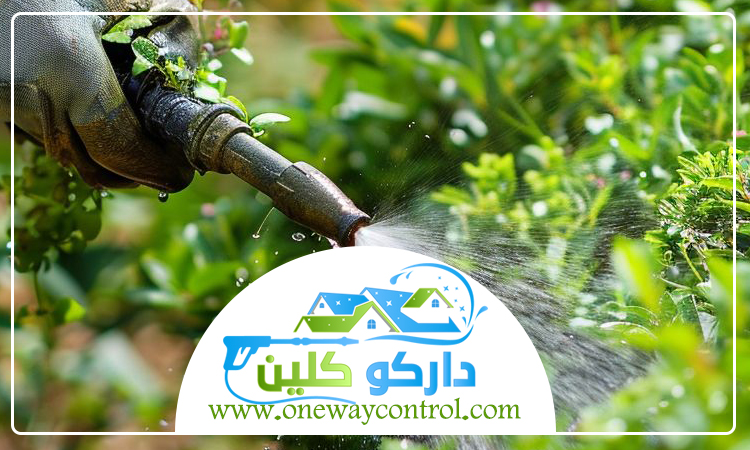 شركة مكافحة النمل الابيض بمكة 5 شركة مكافحة النمل الابيض بمكة