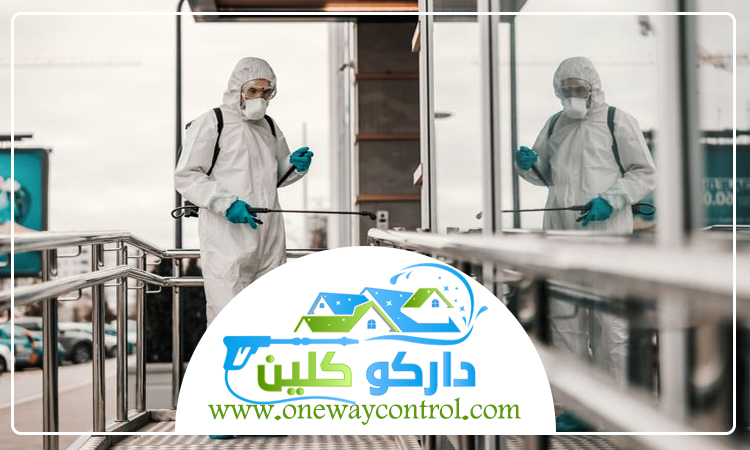 شركة مكافحة العتة بالقنفذه 5 شركة مكافحة العتة بالقنفذه