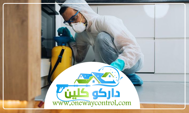 شركة مكافحة العتة بالقنفذه 4 شركة مكافحة العتة بالقنفذه