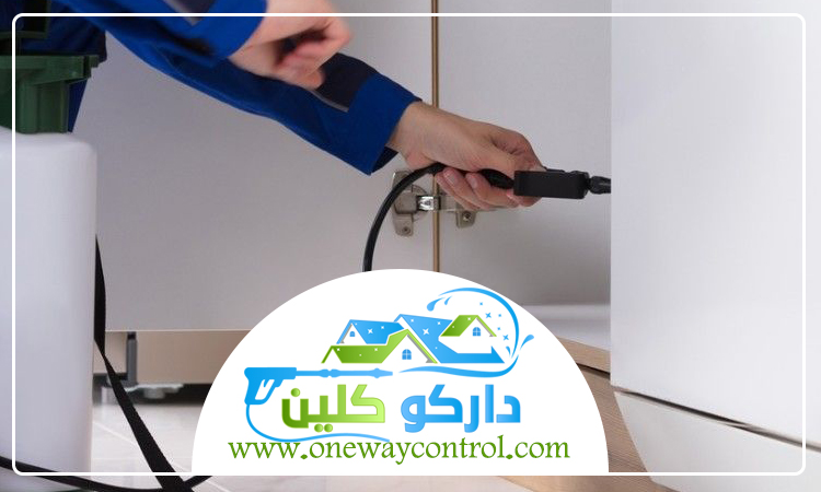 شركة مكافحة العتة بالقنفذه