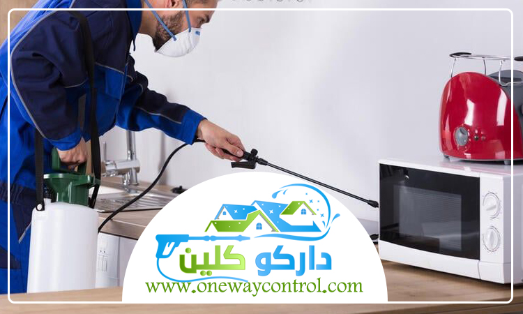 شركة مكافحة العتة بخليص 4 شركة مكافحة العتة بخليص