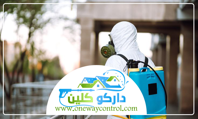 شركة مكافحة حشرات برابغ 4 شركة مكافحة حشرات برابغ