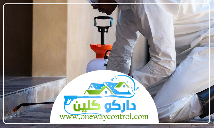 شركة مكافحة النمل الابيض بالطائف 3 شركة مكافحة النمل الابيض بالطائف