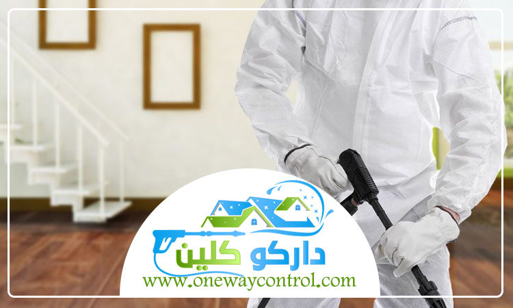 شركة مكافحة الناموس بمكة 5 شركة مكافحة الناموس بمكة
