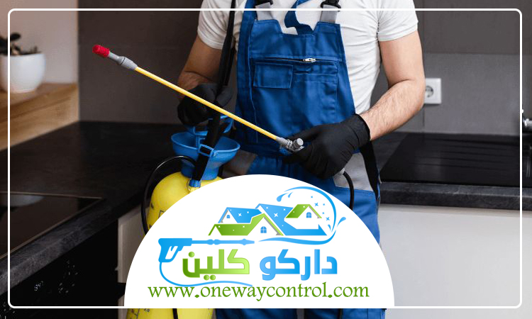 شركة مكافحة حشرات بالباحة 5 شركة مكافحة حشرات بالباحة