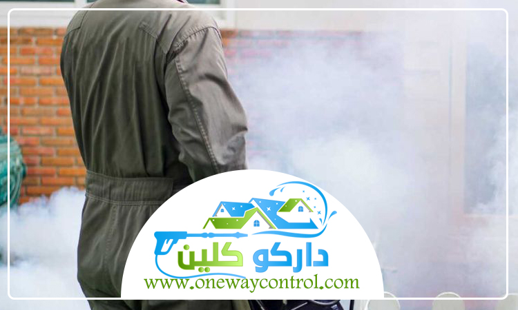 شركة مكافحة الفئران بمكة 4 شركة مكافحة الفئران بمكة