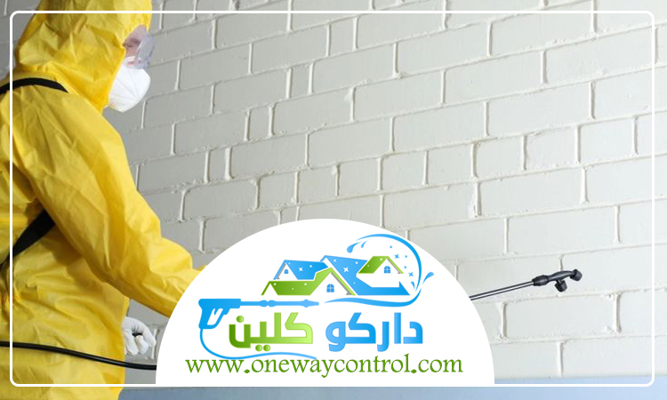 شركة مكافحة العته بالباحة 5 شركة مكافحة العته بالباحة