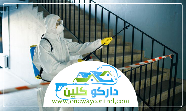 شركة مكافحة الفئران بمكة 5 شركة مكافحة الفئران بمكة