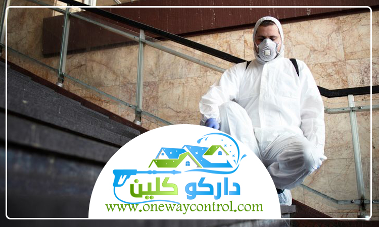 شركة مكافحة العته بالباحة 13 شركة مكافحة العته بالباحة