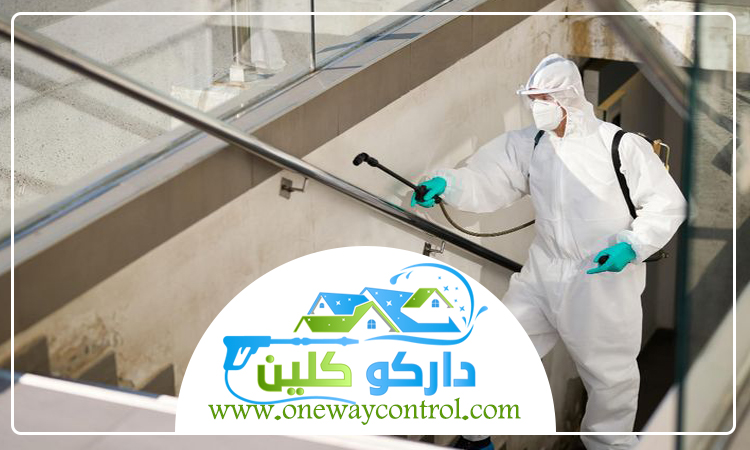 شركة مكافحة العته بالباحة 4 شركة مكافحة العته بالباحة