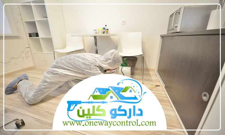 شركة مكافحة العته بالباحة 3 شركة مكافحة العته بالباحة