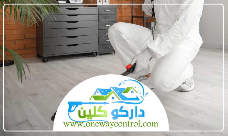 شركة مكافحة النمل الابيض بالطائف 9 شركة مكافحة النمل الابيض بالطائف