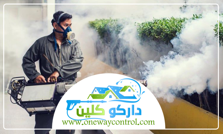 شركة مكافحة النمل الابيض بالطائف 4 شركة مكافحة النمل الابيض بالطائف