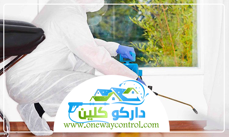 شركة مكافحة النمل الابيض بالطائف 5 شركة مكافحة النمل الابيض بالطائف