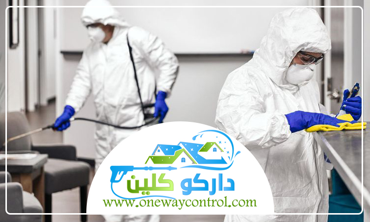 شركة مكافحة الناموس بمكة 3 شركة مكافحة الناموس بمكة