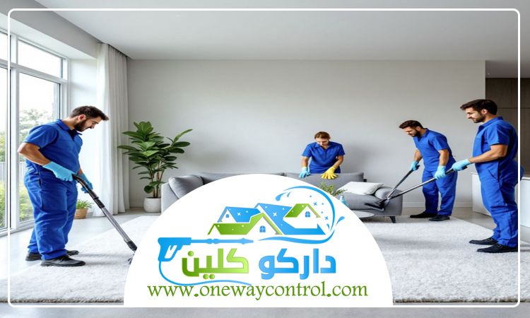 شركة تنظيف فلل بالباحة