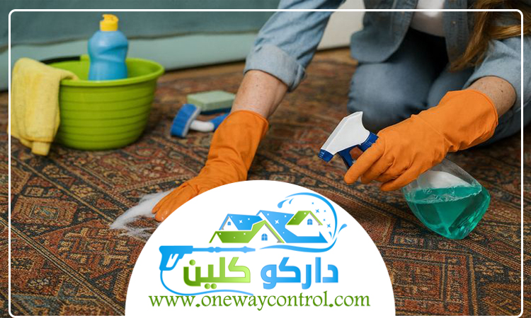 شركة تنظيف سجاد برابغ